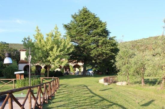 Agriturismo San Valentino Amelia Extérieur photo